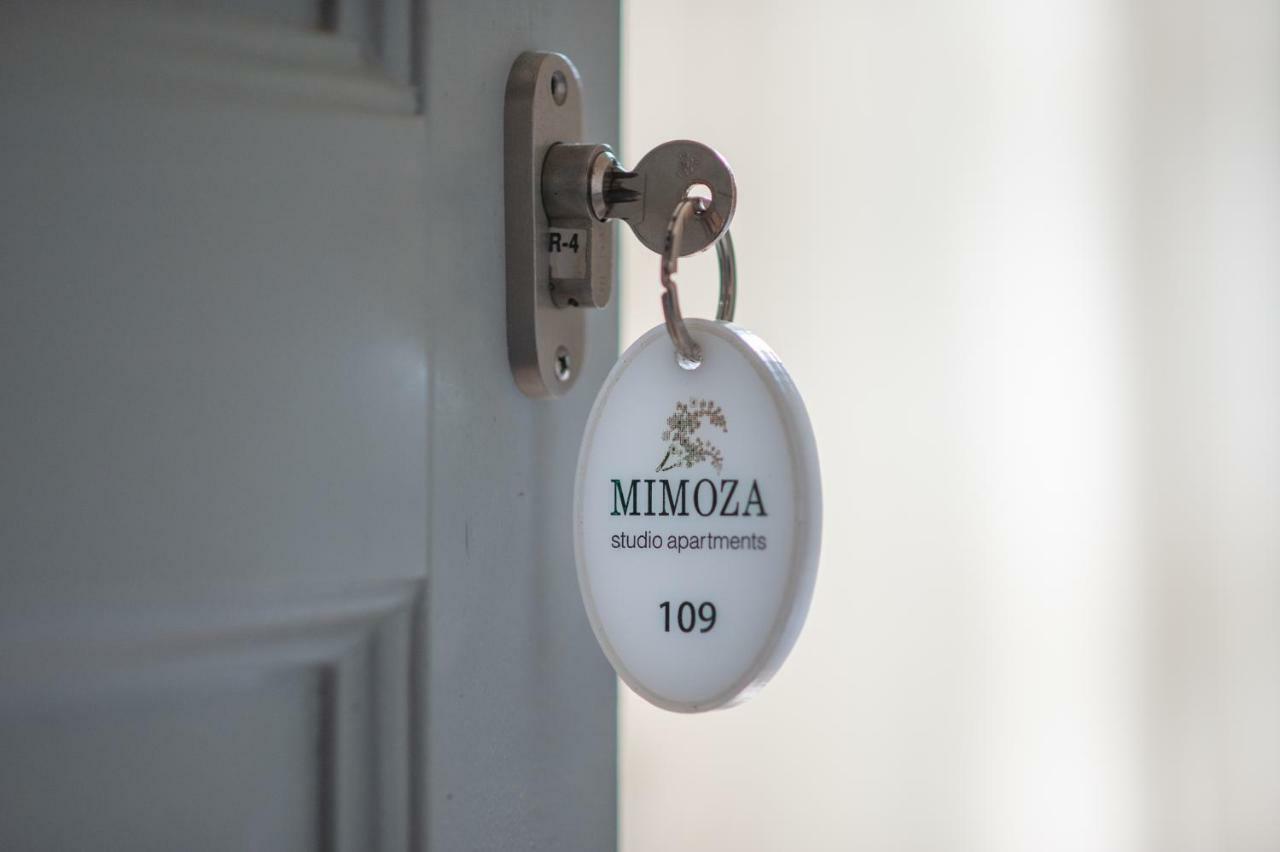 Mimoza Hotel Spetses Town Exterior photo